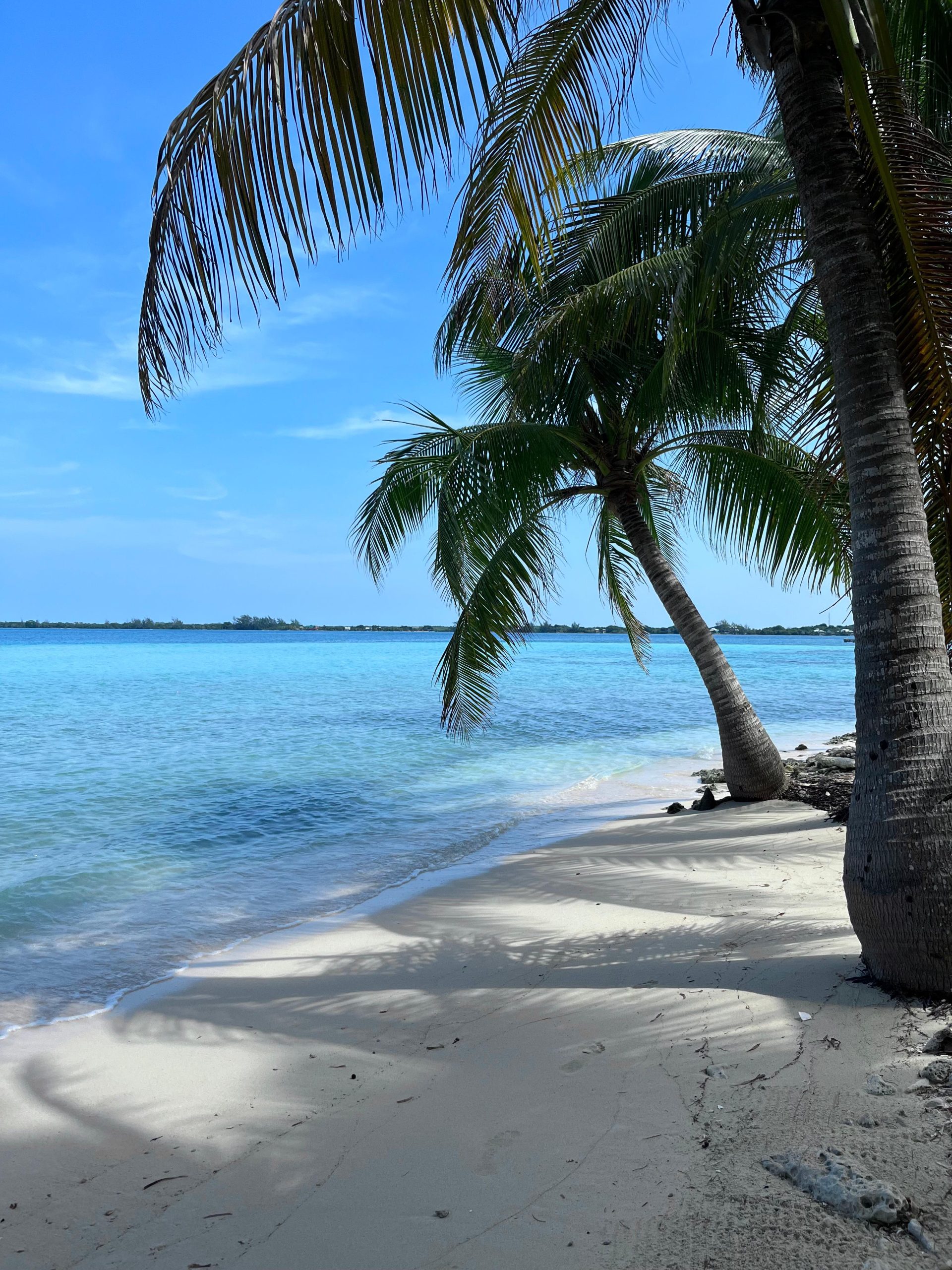 DESCUBRE ESTE PARAISO TROPICAL.